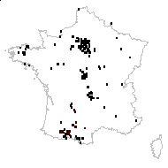 Centaurea amara subsp. serotina (Boreau) Berher - carte des observations