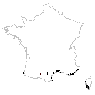 Patrocles orientalis Salisb. - carte des observations