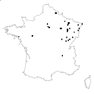 Acorus calamus L. - carte des observations