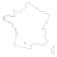 Dracunculus vulgaris Schott - carte des observations