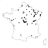 Butomus caesalpinii Neck. - carte des observations