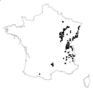 Carex alba Scop. - carte des observations
