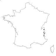 Carex atrata L. var. atrata - carte des observations