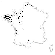 Carex binervis Sm. - carte des observations