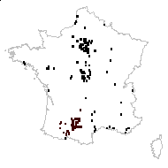 Carex subvulpina Senay - carte des observations