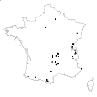 Carex canescens L. - carte des observations