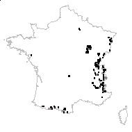 Carex davalliana Sm. - carte des observations