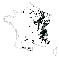 Trasus digitatus (L.) Gray - carte des observations