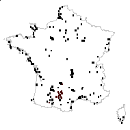 Carex neglecta Degl. ex Loisel. - carte des observations