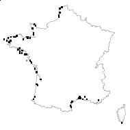 Carex extensa Gooden. - carte des observations