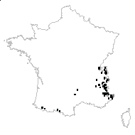 Carex ferruginea Scop. - carte des observations