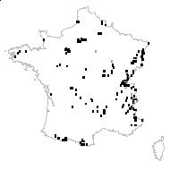 Carex patula Host - carte des observations