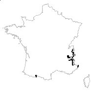 Carex foetida All. - carte des observations