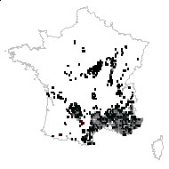 Carex halleriana Asso - carte des observations