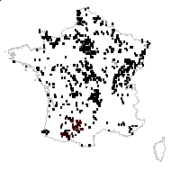 Carex hirta L. - carte des observations