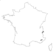 Carex lachenalii Schkuhr - carte des observations