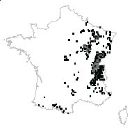 Carex gracilis Moench - carte des observations