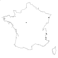 Carex bracteata Suter - carte des observations