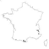 Carex nigra subsp. alpina (Gaudin) Lemke - carte des observations