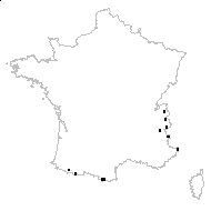 Carex ornithopoda subsp. ornithopodioides (Hausm.) Nyman - carte des observations