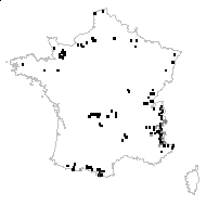 Carex parviflora Host - carte des observations