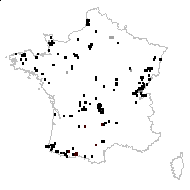 Carex pulicaris L. - carte des observations