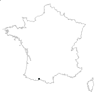 Carex repens Bellardi - carte des observations