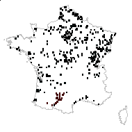 Carex exaltata Peterm. - carte des observations