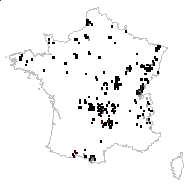 Carex longifolia Thuill. - carte des observations