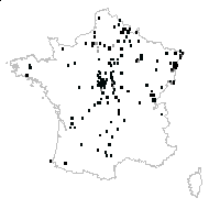 Carex strigosa Huds. - carte des observations