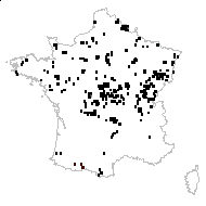 Carex monile Tuck. - carte des observations