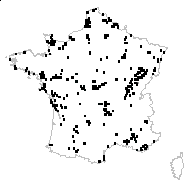 Caricina compacta (Lam.) St.-Lag. - carte des observations