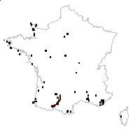 Cyperus pallescens sensu Poir. - carte des observations