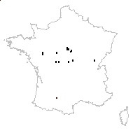 Cyperus michelianus (L.) Link - carte des observations