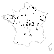 Clavula acicularis (L.) Dumort. - carte des observations