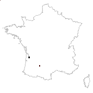 Eleocharis amphibia Durieu - carte des observations