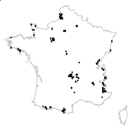 Eleocharis pauciflora (Lightf.) Link - carte des observations