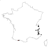 Eriophorum chamissonis Ledeb. - carte des observations