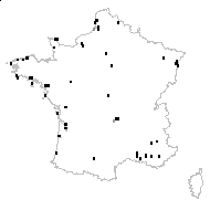 Scirpus glaucus Sm. - carte des observations