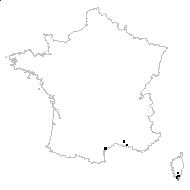 Schoenoplectus litoralis (Schrad.) Palla - carte des observations