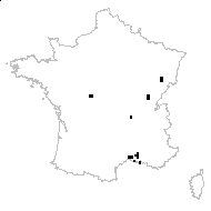 Schoenoplectus mucronatus (L.) Palla - carte des observations