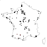 Scirpus clathratus Boreau - carte des observations