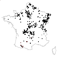 Scirpus sylvaticus L. - carte des observations