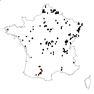 Serpicula verticillata Rostk. & W.L.E.Schmidt - carte des observations