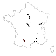 Vallisneria nana R.Br. - carte des observations