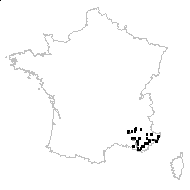 Crocus cristensis Eugène - carte des observations