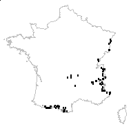 Juncus alpinoarticulatus Chaix subsp. alpinoarticulatus - carte des observations