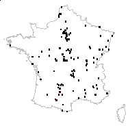 Juncus compressus Jacq. - carte des observations