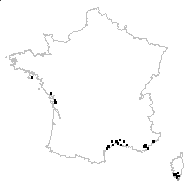 Juncus fasciculatus Bertol. - carte des observations