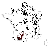 Juncus inflexus L. - carte des observations